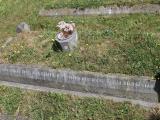 image of grave number 519106